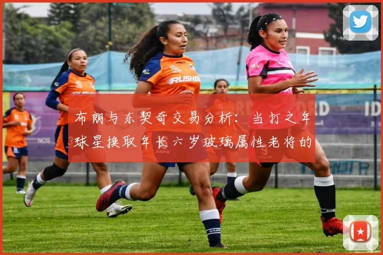 布朗与东契奇交易分析：当打之年球星换取年长六岁玻璃属性老将的利弊探讨